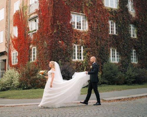 carousel-hero-element image-2